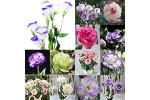 WJKWY-Q Graines D'artichaut Lisianthus Fleurs Prairies Décoratives Prairies Abeilles Fleurs Sauvages Graines Vivaces Plantes Rustiques Plantes De Jardin Balcons Plantes En Pot 50pièces
