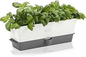 Cole & Mason H105349 Burwell Self-Watering Potted Herb Saver, Windowsill Herb Planter Indoor/Herb Box/Indoor Herb Garden, Triple, Suitable for 3 pots (85 mm), Includes 12 x Pads