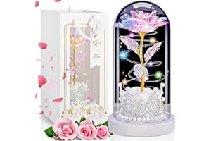 LinjunFa Eternal Rose-Forever Rose Gift Women,Birthday Gift for Women,Rose Gift for Her,Light Up Galaxy Roses in Glass,Beauty and The Beast Rose with LED Light,Flower Present for Women,Girlfriend