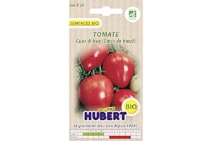 GRAINES HUBERT SEMENCES & ENGRAIS MAIROL 30 Graines de Tomate Cuor di bue - Coeur de boeuf BIO