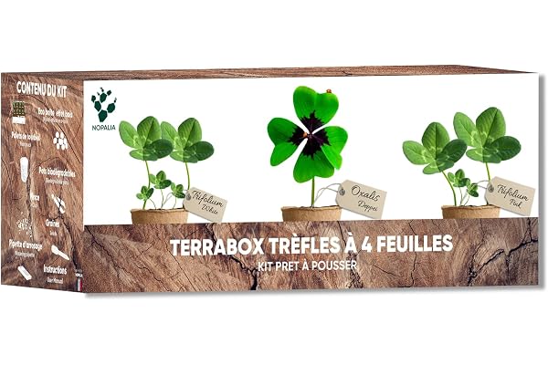 NOPALIA® Kit Trèfle à 4 Feuilles Porte-Bonheur – Graines Bio Oxalis Deppei, Trifolium White & Pink – Cadeau Insolite Femme Homme – DIY Jardin Intérieur Chance & Déco – cadeau fête des mères original