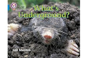 What’s Underground: This book reveals the amazing things that happen underground. (Collins Big Cat)