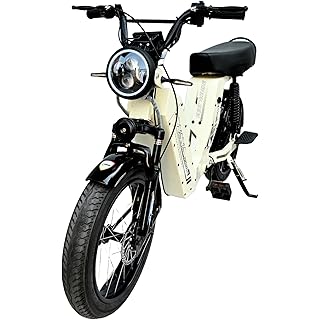 WAYA Zulu 350 Unisex Fat Tyre Electric Bicycle 20" With Wheel Size 20" Sturdy Full Metal Body 250W Bldc Motor Dual Suspension