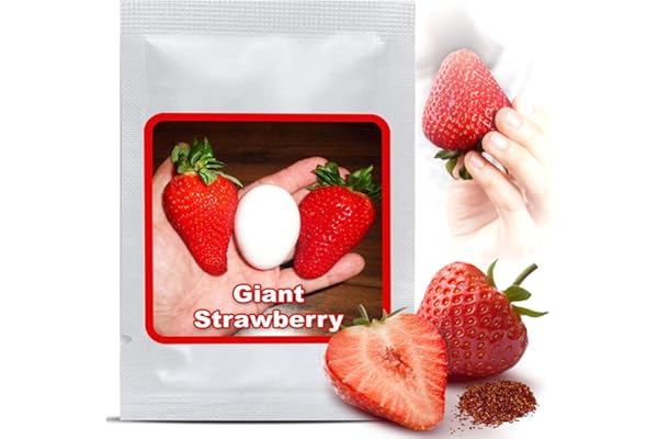 Magic of Nature Graines de Fraises Géantes env. 100 pcs – La plus grande fraise au monde "Giant" – Fruits Sucrés – Rustique & Vivace