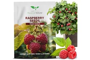 Magic of Nature: Röda Hallon Frön (50 St) Rubus idaeus - Hallonbuske Mix | Härdig nyttoväxt för självförsörjning - Perfekt för trädgård & balkong