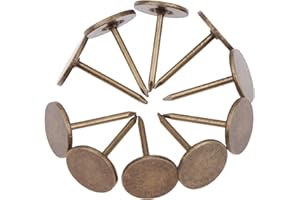 Dophee 100 chiodi piatti per tappezzeria, in ferro, 1,1 x 1,7 cm, stile vintage, puntine per mobili, divani, porte e decorazioni