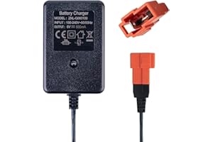 BNBBSC 6 Volt Battery Charger for Ride-on Toy, 6 V Children's Ride-on Car Charger, 6 V Electric Car, Ride-on Toy, Battery Power Adapter, Square Plug
