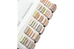 ‎ZEAYEBSR Zeayebsr 10 Blätter Laminierte Bibel-Tabs Bibelindex-Tabs für Lernbibel Leere Registerkarten Bibelreiter für Damen/Herren Bibelbuch-Tabs für Altes und Neues Testament Christliches Geschenk