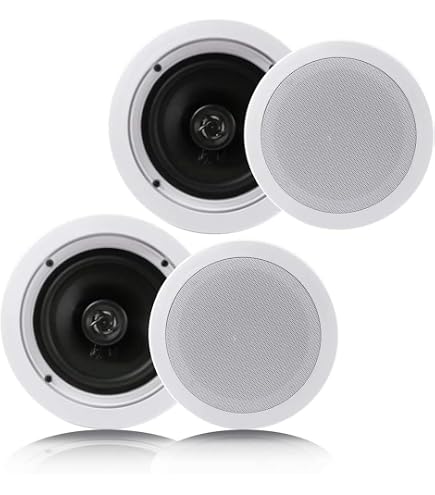 Visaton VS-FRS10WP/4W Altoparlante Full-Range 10 Cm – 4 Ohm, 25W, Bianco, Resistente All'Acqua - 2