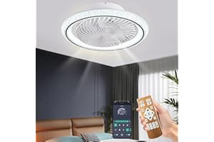 Qiaomao Plafonnier Ventilateur Silencieux 360° Rotation Noir 49cm avec Télécommande/APP, Reversible Dimmable Timer Ventilateur de Plafond avec Lumiere, Luminaire Ventilateur Plafonnier 6 Vitesses 72w