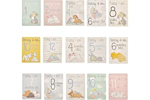 WIDDLE GIFTS LTD Disney Baby Milestone Cards Contains Dumbo, Thumper, Dalmations, Bambi, and more - Pack of 30 3396