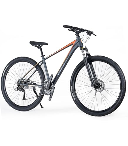 Buy Schwinn Fleet Adult Mountain Bike, 29-Inch Tyres, 17-Inch