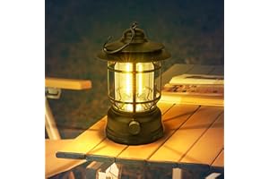 Flintronic Lanterne de Camping Vintage, Rétro Lanterne Camping Rechargeable, Luminosité Réglable Lanterne Camping LED, IPX4 Etanche Lampe Tente pour Camping, Pêche, Jardin, Randonnée, Urgenc (1PC)