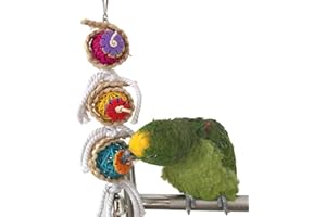 KEERSI Jouet pour cage pour perruches, perroquets, calopsittes, conures, inséparables ou cacatoès