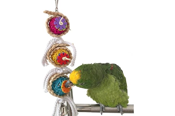 Jouet pour cage pour perruches, perroquets, calopsittes, conures, inséparables ou cacatoès
