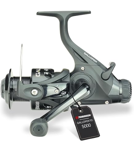 Daiwa Tournament Linear - X 5500 BR : Amazon.de: Sports & Outdoors