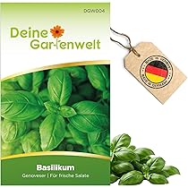 Winterharter Basilikum - Mehrjährige Kräuterpflanzen 200 Samen
