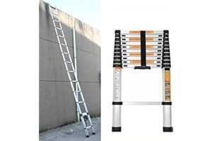 RIGOGO Scala Telescopica in Acciaio Inox da 3,2 m, Antiscivolo, Allungabile con 11 Pioli, Facile da Trasportare, Portata 150 kg