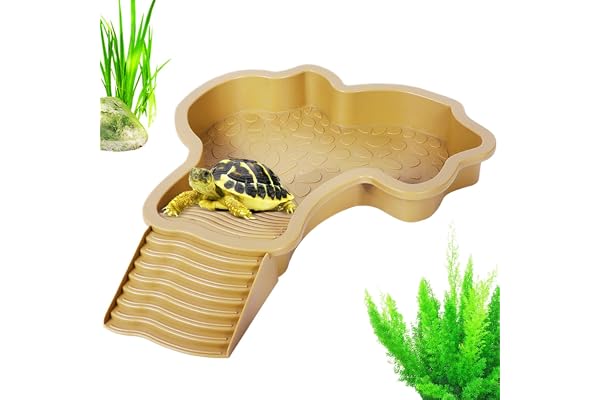 35x28,5x4,3 Cm Piscine Pour Tortue Mangeoire Tortues Terrestre Baignoire Tortue Baignoire Pour Reptiles Bassin De Bain Pour Reptiles Bol À Eau Reptile Pour Tortue, Léopard, Dragon Barbu, Hamster