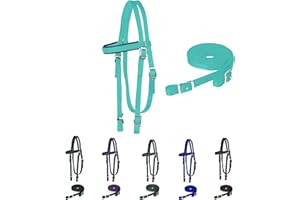 Majestic Ally Frontalino Imbottito en Nylon avec redini per Cavalli (Turchese, complet)