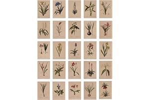 ZPPLD Cartes Postales Rétro, Cartes Postales Lis Vintage (24 cartes) avec Beau langage floral imprimé sur Papier Kraft, amour, amitié, vie, cartes de vœux motivantes