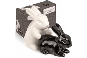 MIJOMA Set saliera e pepe – Elegante design in porcellana, per alimenti, facile da riempire, diversi disegni divertenti e carini a scelta (coppia di conigli, 2 pezzi)