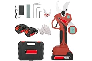 BILIVRY Akumulatorowe nożyce do drzew owocowych z wyświetlaczem LCD, 2 x 24 V 3000 mAh, do gałęzi, rabatek i ogrodów