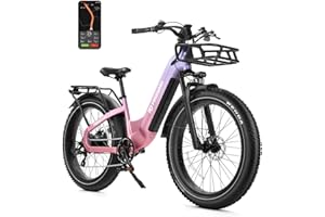 FD FREEDARE FREEDARE Vélo Électrique Eden pour Adulte Femme Homme avec Moteur BaFang 250W 90Nm Batterie 48V 20Ah Autonomie 150km Capteur de Couple GPS et App Smart VTT Pneus Kenda 26 x 4 Pneus Fat