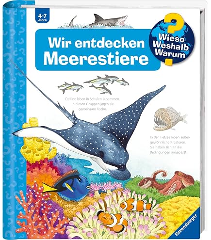 Wild Republic Ecokins Meeresschildkröte – Kuscheltier Aus Recycelten PET-Flaschen, 30 Cm, Nachhaltig & Babygeeignet