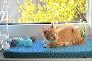 BORN2REST Prime Cat Window Lounger for Cats, Windowsill with a Non-Slip Backing, Cat Bed Window Sill, 50 cm x 20 cm, Made in European Union (Turquoise, 50 x 20 x 3 cm)