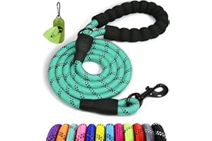 Taglory Correa de Perro, Correa de Fuerte de Perro para Perros Medianos y Grandes con Mango Acolchado Suave y Hilos Reflectantes, 1.5 m x 1.2 cm, Turquesa