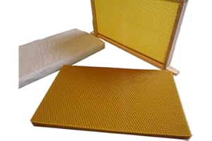 Beekeeping Supplies UK Ltd - 10 x Unwired Brood Foundation - for British National Brood - 100% Beeswax - Can also be used for candle making