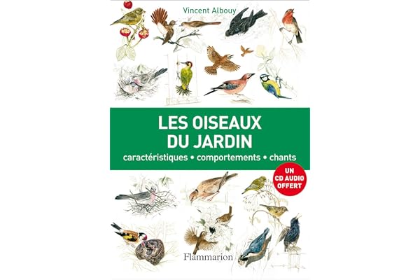 Les Oiseaux du jardin: caractéristiques, comportement, chants