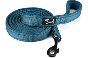 PETTOM Kaka mall Correa para Perros Dog Leash con Asa Acolchada e Mosqueton Nylon Reflectante Resistente para Perros Pequeños Grandes Medianos Azul L 200cm