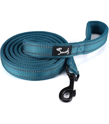 PETTOM Collare Cane Regolabile - Con Targhetta Nome E Strisce Riflettenti, Nylon Morbido, Taglie XS-XL - Foto 12