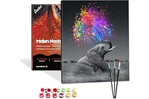 Bougimal Pintar por Numeros Adultos, DIY Pintura por números con Pinceles y Pinturas Decoraciones para el Hogar con Marco de 40 X 50 cm