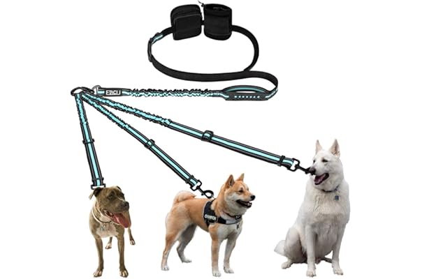 double ended dog lead amazon