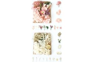 ROMCADE 2 Packs Dried Flowers And Leaves Real Dried Pressed Flowers Bookmarks Natural Dried Flowers Set for Scrapbooking Diy Candle Resin Jewelry Arts Crafts Nail Floral Home Decorations (light colour)