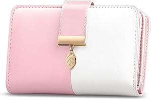 Faneam Portfele skórzane damskie, duża pojemność, portfel z blokadą RFID, portfele skórzane eleganckie, portmonetki, portfel z kieszenią na monety i zamkiem, 18 miejsc na karty, L, Retro