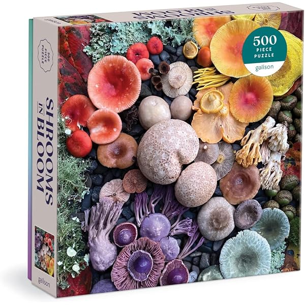Galison Sukkulenten Puzzle – 500 Teile, Farbenfrohes Pflanzen-Motiv, 50x50 Cm Fertig