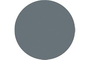 AICOIMY Discos de lija 30 piezas, 125mm Gancho Y Bucle De Papel de lija Seco Húmedo De Grano 3000, Discos de lijado de Agua Seca Redonda para Madera y Metal