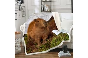 HOMEWISH Capybara Decke 75x100 für Kinder Jungen Mädchen Süßes Capybara Das Sich Im Gras Entspannt Decke Werfen für Schlafsofa Lustiges Tier Fleece Decke Schön 3D Capybara Gedruckt Weicher Fuzzy Decke