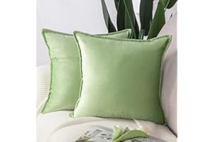 Madizz Lot de 2 Doux Velours Décoratif Housses de Coussin Luxe Style pour canapé Chambre Vert Pomme 40 x 40 cm
