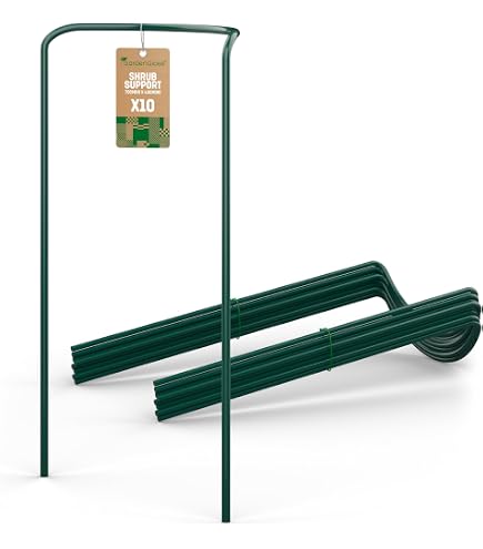Relaxdays Supporto per Piante Rampicanti, Set da 6 Sostegni Piantine