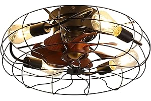 KPUY Caged Ceiling Fans with Lights and Remote, Retro Ceiling Fan with Light and Remote, 6 Level Wind Speed, for Living Room, Bedroom and Dining Room（50cm, Black）