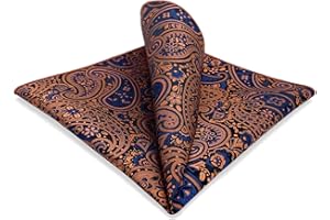 S&W SHLAX&WING Carré De Poche Paisley Traditionnel 32cm Costume Mariage Cérémonie Haut De Gamme
