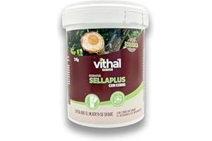 Nexum Market Pasta Cicatrizante Profesional para Cortes de Poda e Injertos ECOLÓGICA 1 KG | 100% Eficaz Fijación Injertos, Cicatrización y Protección Heridas Árboles, Arbustos y Frutales SELLAPLUS