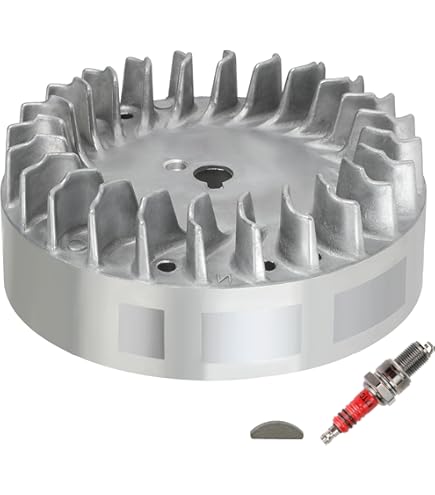 Dual Valve Spring Kit, Honda GX200 Clone::Cylinder Heads (Non-Hemi - Foto 12