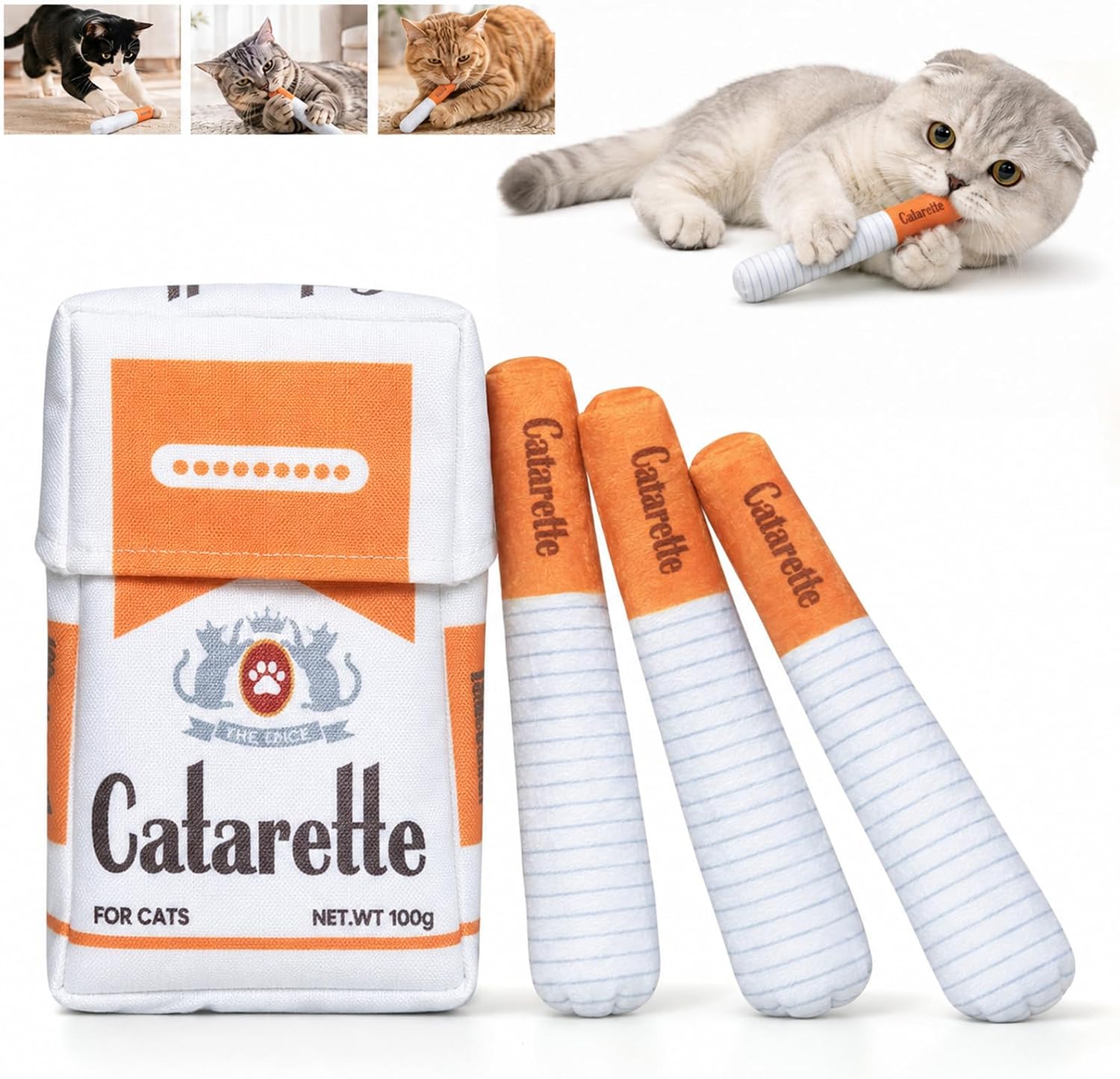 Retour d'Expérience & Bilan Utilisateur : Catarette pour Chat Jouet Herbe à Chats Couss