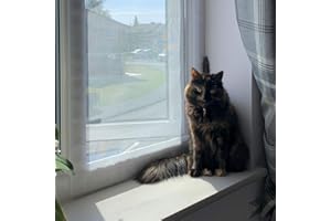 Flat Cats window screens - Twin Pack - Selection of sizes (60cm x 100cm, White Mesh/White Fixings)